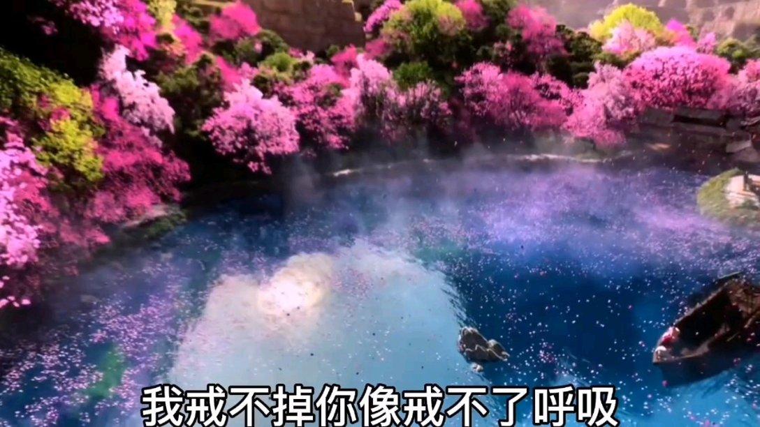 一张图让你戒猫358