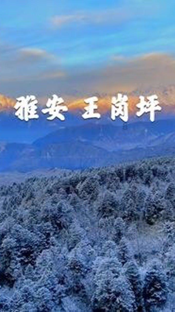 线上摩托挑战赛无敌版