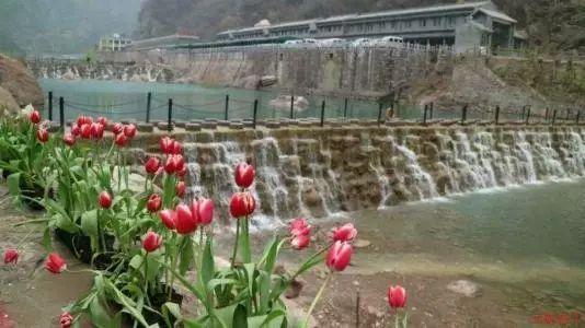 我市一企业入选国家级水产健康养殖和生态养殖示范区名单