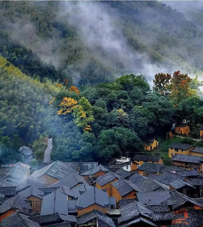 像姚明这样大块头，有大智慧的篮球运动员，为什么没有出现第二个？