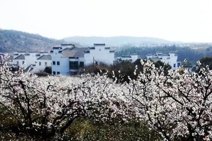 发现惊人冷知识,尽在第一次带爸妈旅行,坐飞机需要注意些什么?!
