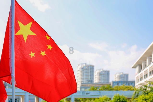 一张图让你戒猫358