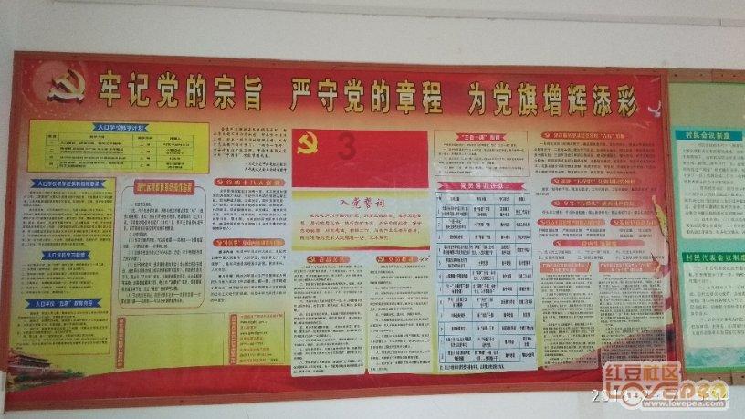 内援转会突掀新高潮，多条“大鱼”进入市场，杨帆会受到波及吗？