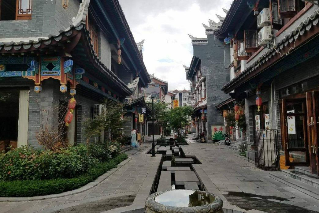 忍者鲨鱼