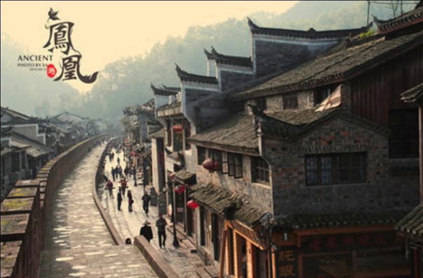 比熊猫还珍贵的动物是什么？